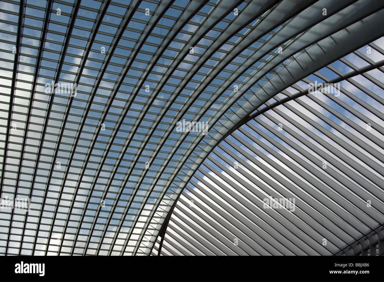 Canopy à Liège gare des Guillemins, Liège, Belgique, conçu par l'architecte Santiago Calatrava Banque D'Images