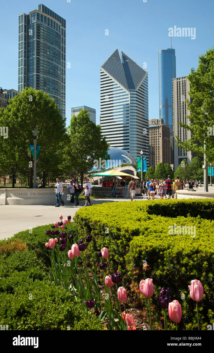 CHICAGO Illinois Bean sculpture dans le Parc du Millénaire Cloud Gate Design acier inoxydable tulipes fleurissent dans le jardin urbain Banque D'Images