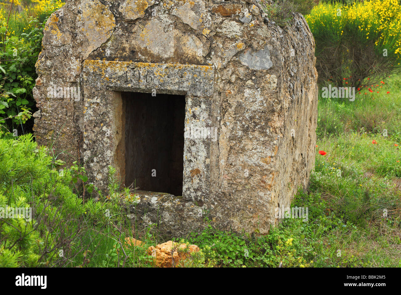 Vieille cabane en pierre dans une prairie au printemps Minervois Languedoc-Rousillon France balai en fleurs coquelicots en fleurs Banque D'Images