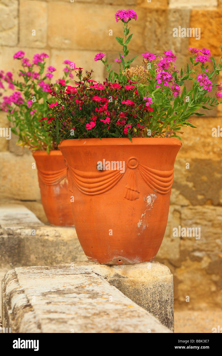 Pot de fleurs jardin de fleurs l'ancien archevêque de la Cathédrale Saint Nazaire Béziers Hérault Languedoc-Roussillon France Banque D'Images