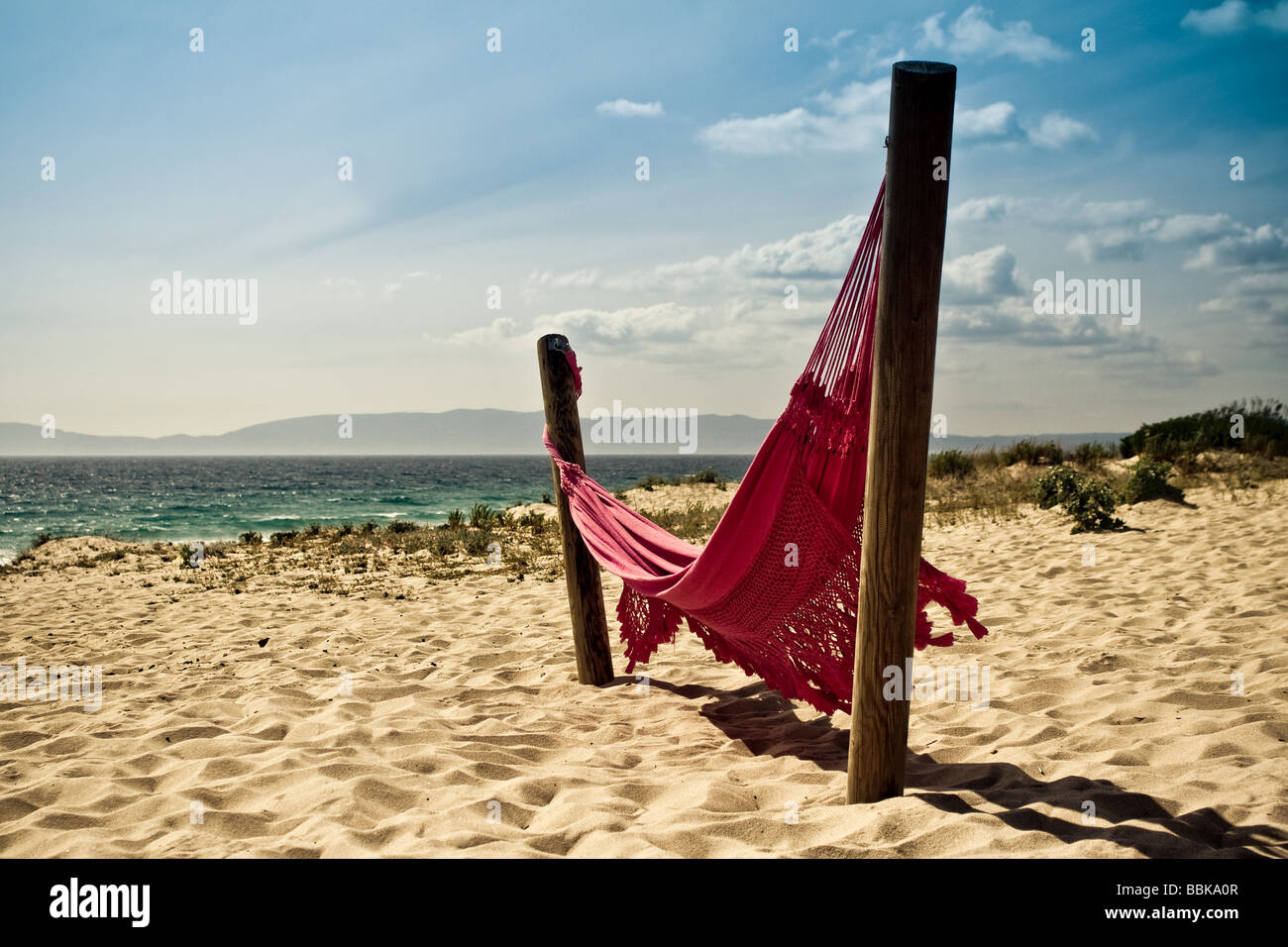 Un hamac sur une plage Banque D'Images