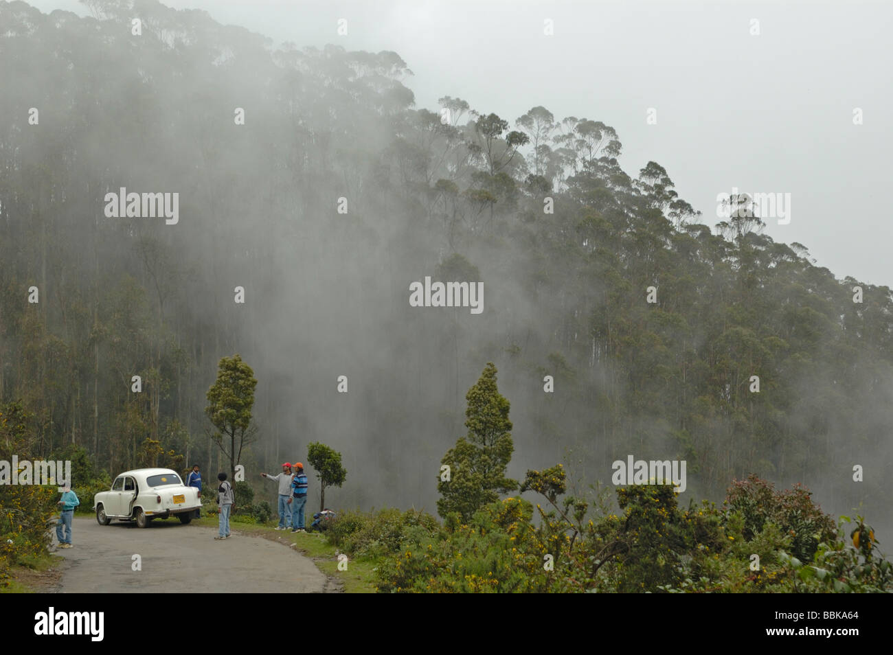 L'Inde, le Tamil Nadu, Udhagamandalam (Ooty). L'approche Dodda Betta view point. Aucun communiqué de presse disponible. Banque D'Images