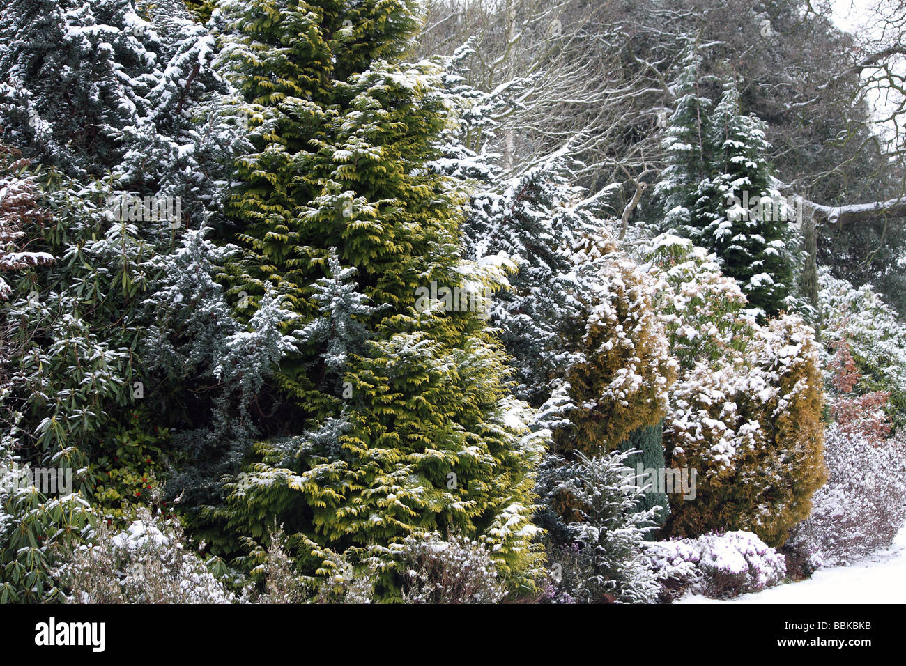 Un pays sur scène un hivers froid jour après la neige s'est installé dans un parc de pays Banque D'Images