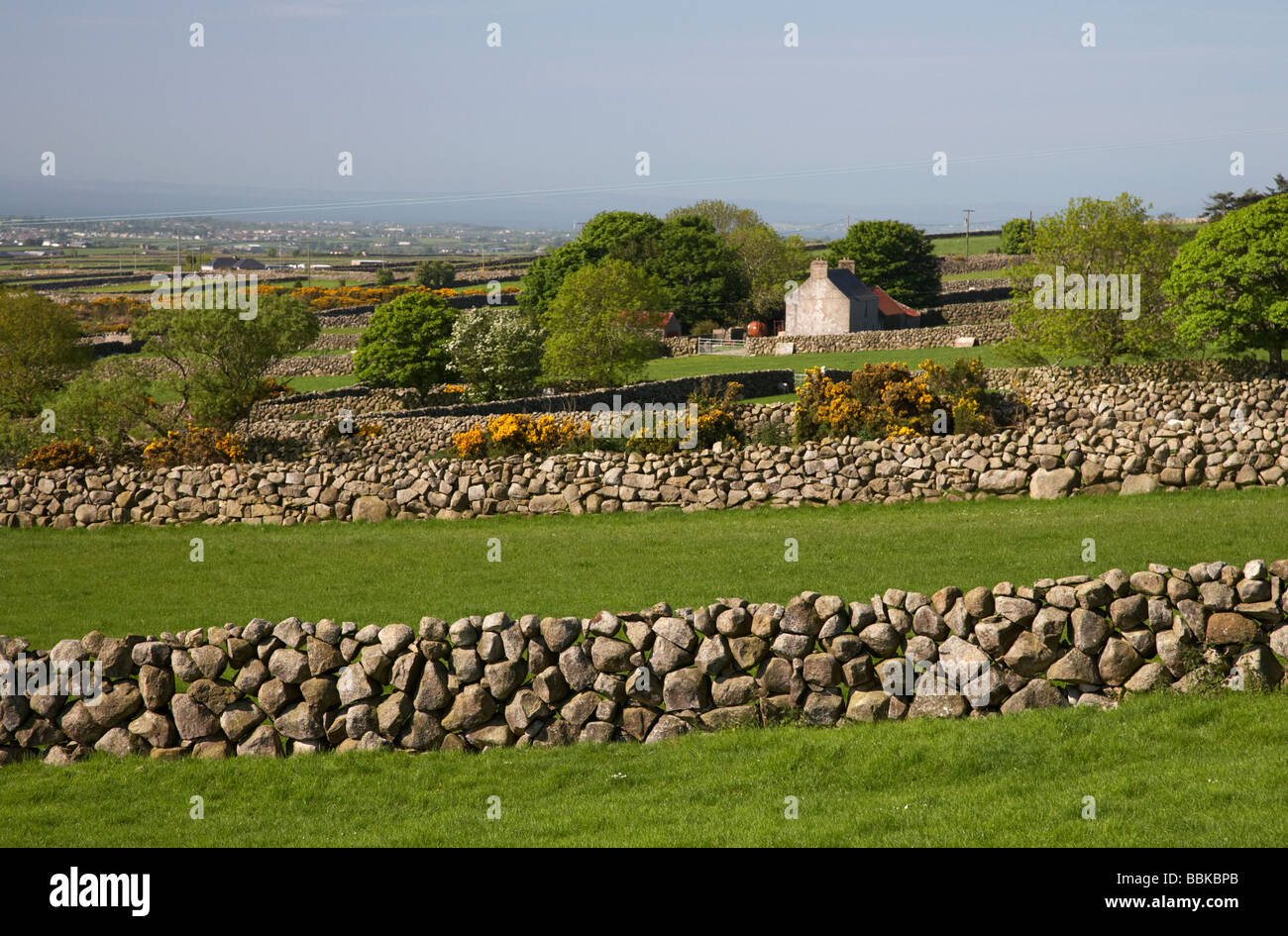 Murs de pierres sèches des bordures de champ dans le royaume de mourne County Down Irlande du Nord uk Banque D'Images