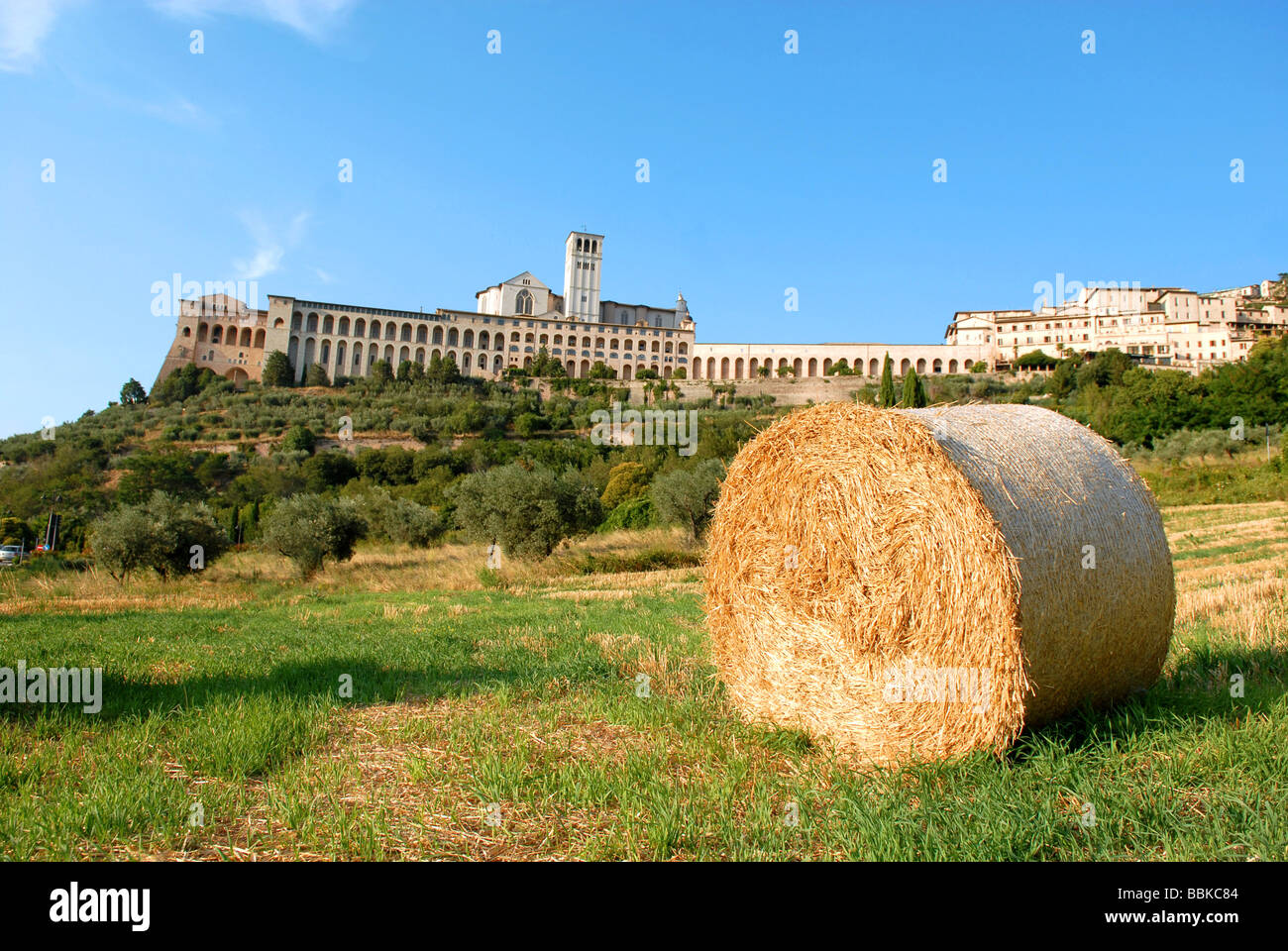 L'sheap de blé à Assise, en vertu de la cathédrale de San Francesco Banque D'Images