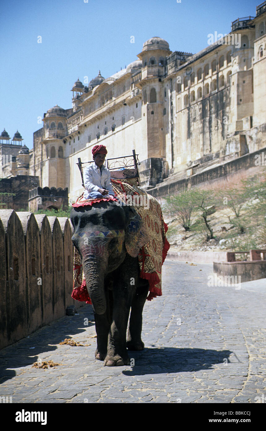 L'ambre, près de Jaipur, Rajasthan, Inde, l'éléphant sur la rampe menant à la Fort Amber et complexe de palais Banque D'Images
