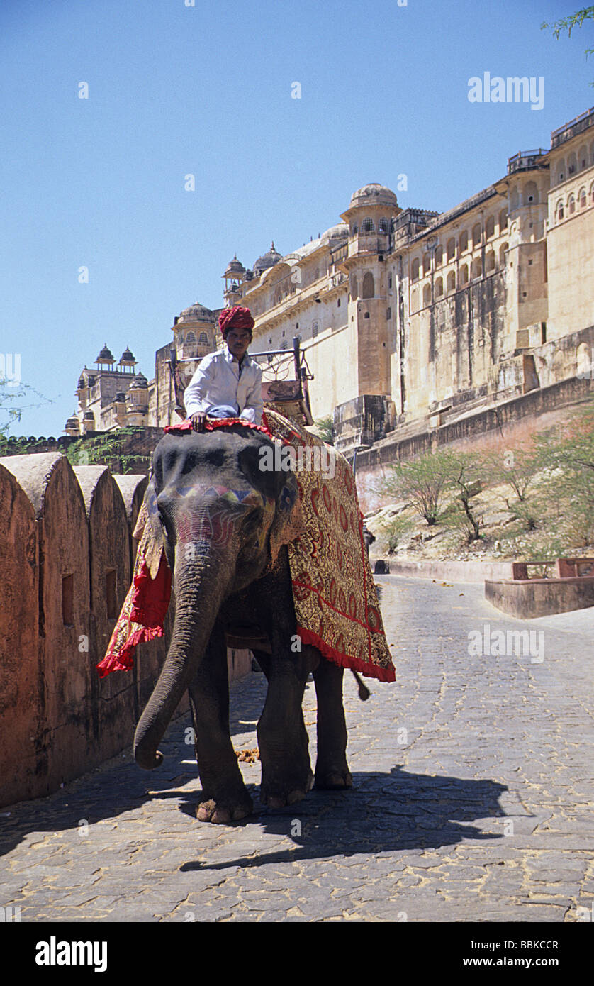 L'ambre, près de Jaipur, Rajasthan, Inde, l'éléphant sur la rampe menant à la Fort Amber et complexe de palais Banque D'Images