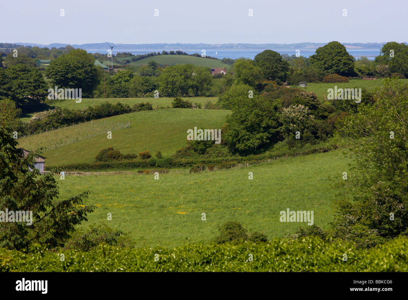 Terres agricoles drumlin paysage près de Strangford Lough County Down Irlande du Nord uk Banque D'Images