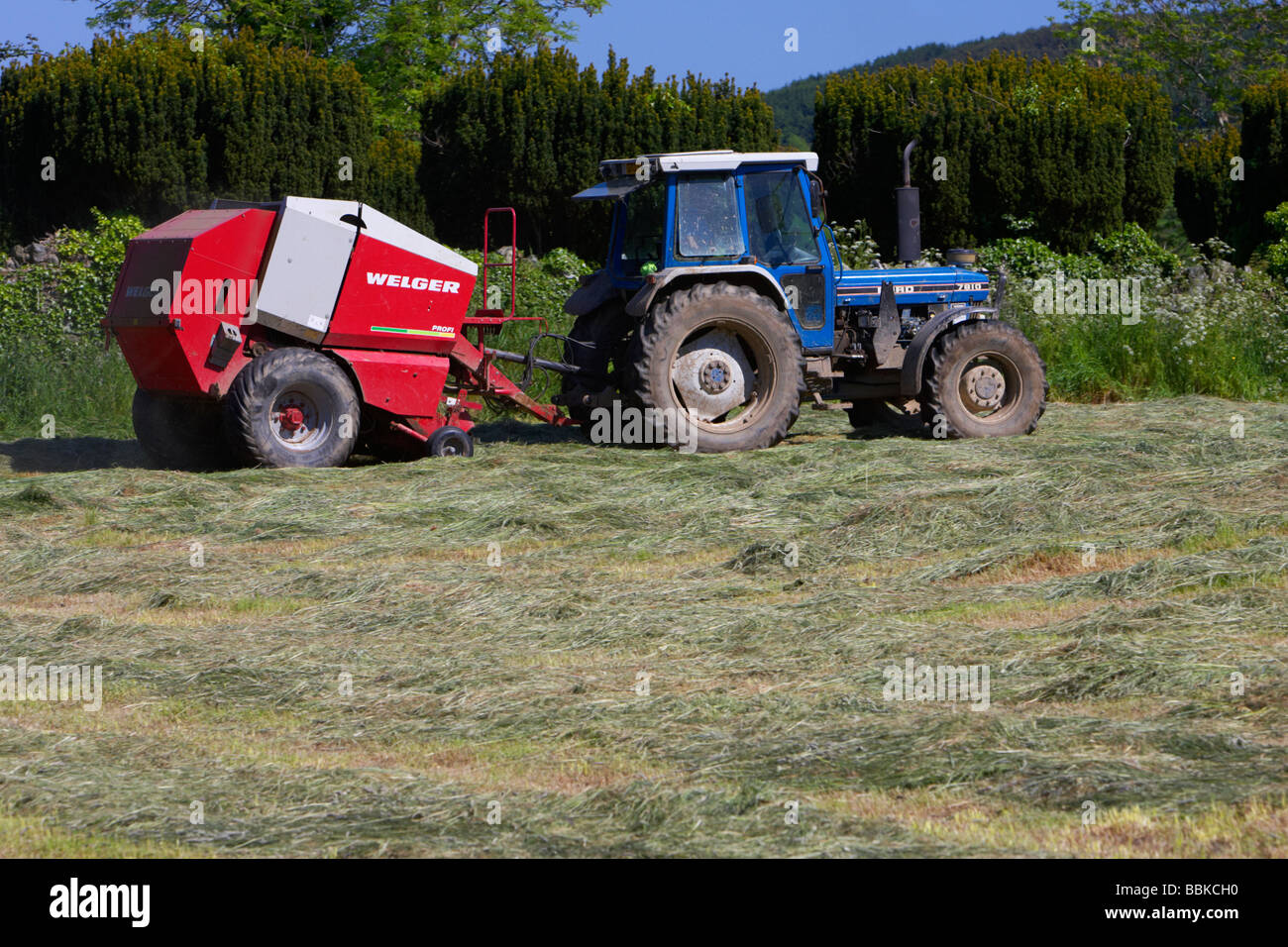 Remorquage de presse du tracteur pour couper l'herbe recueille la production d'ensilage County Down Irlande du Nord uk Banque D'Images