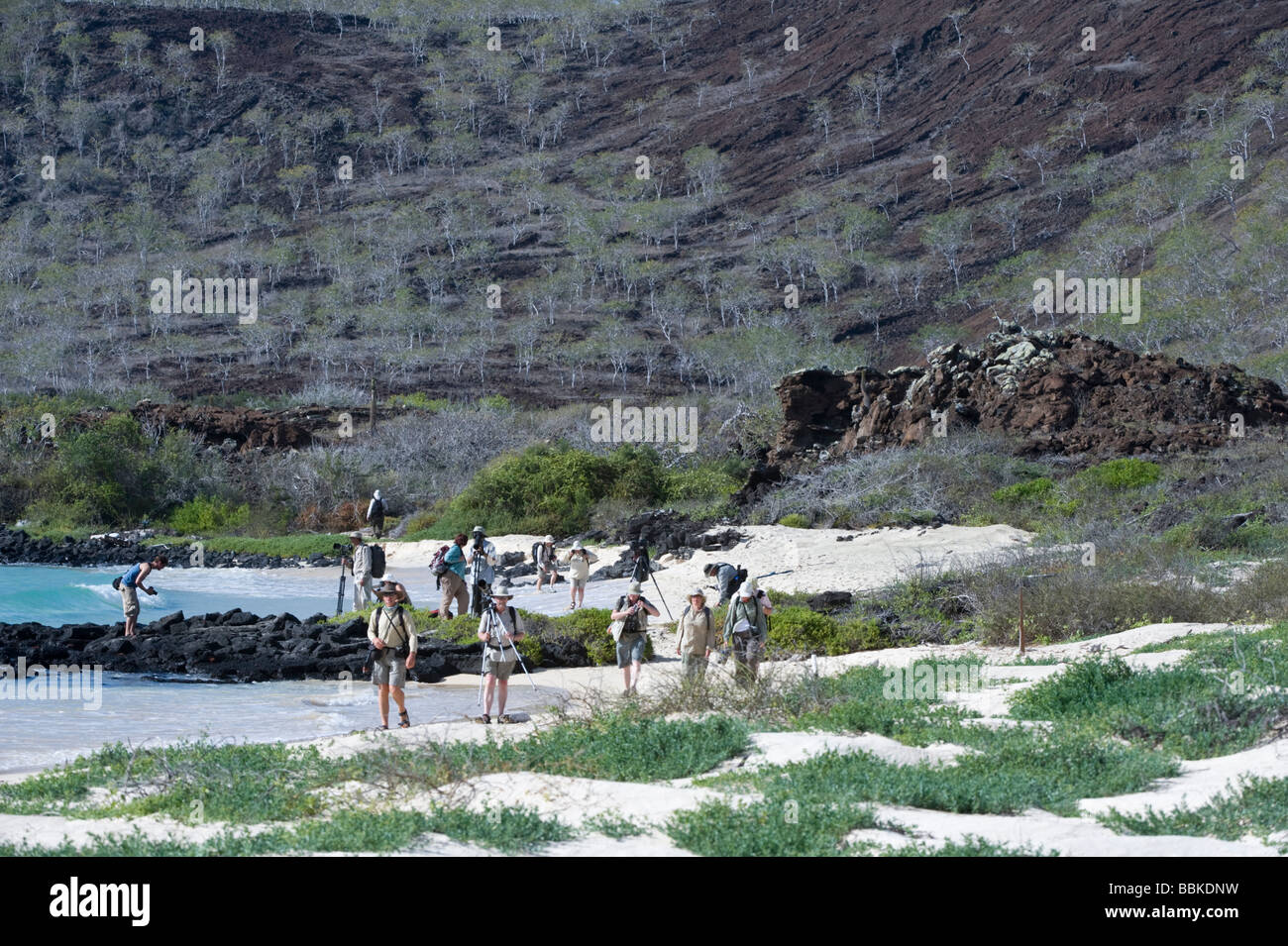 Groupe de photographes sur la plage de sable de farine Flamingo Lagoon Punta Cormoran Equateur Galapagos Floreana Cormorant Océan Pacifique Banque D'Images