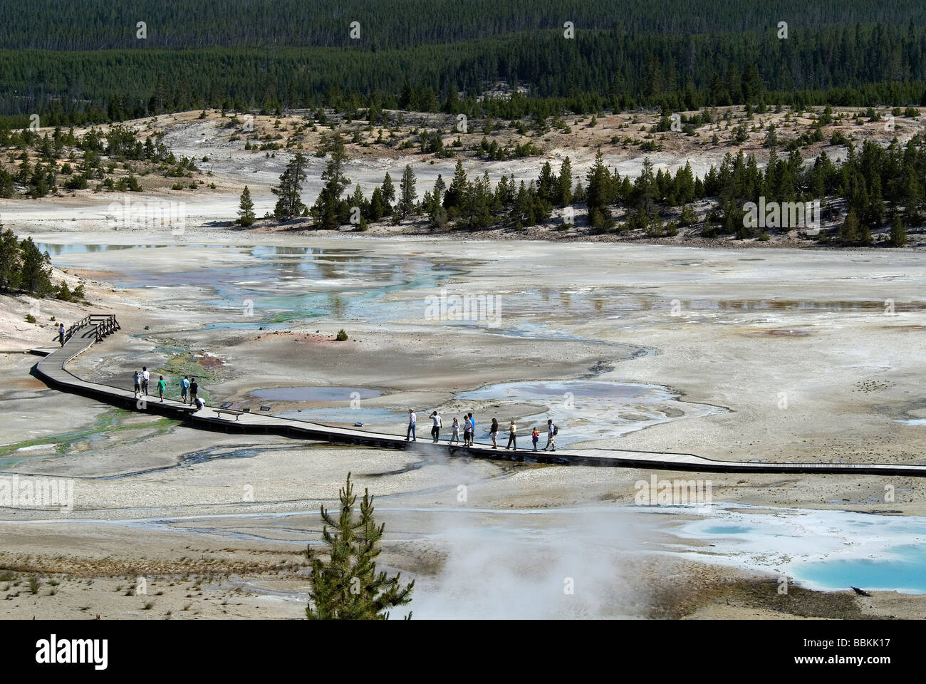 Les visiteurs explorent le bassin en porcelaine N P Yellowstone Wyoming USA Banque D'Images