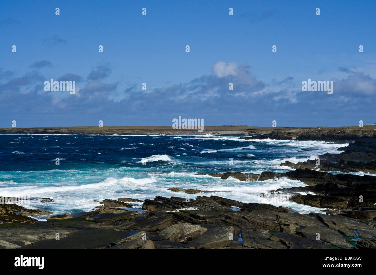 Dh Baie de Ryasgeo NORTH RONALDSAY ORKNEY blanc ciel bleu et les vagues de la côte rocheuse de la mer à l'île écossaise Banque D'Images