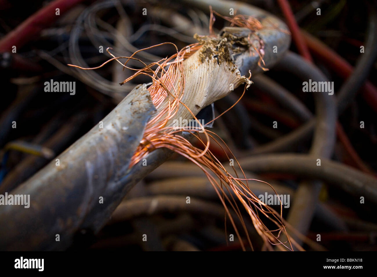 Le recyclage des câbles d'électricité Les fils sont déchiquetés et puis les métaux séparés de la plastics toutes les municipalités aux Pays-Bas sont tenus de fournir des points de collecte pour les connus et les matières dangereuses recyclables ou tous les types de déchets séparés peuvent être acceptés ici pour libre ou une petite somme en fonction du type de matériel green stuff et briques de béton est habituellement libre certains magasins effectuer collection de peinture produits chimiques de recyclage des déchets des ménages néerlandais batteries à 60 en moyenne 2006 Banque D'Images