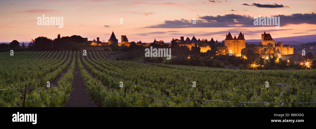 Carcassonne au crépuscule de vignobles à l'extérieur de la ville. Languedoc Rousillon. France Banque D'Images