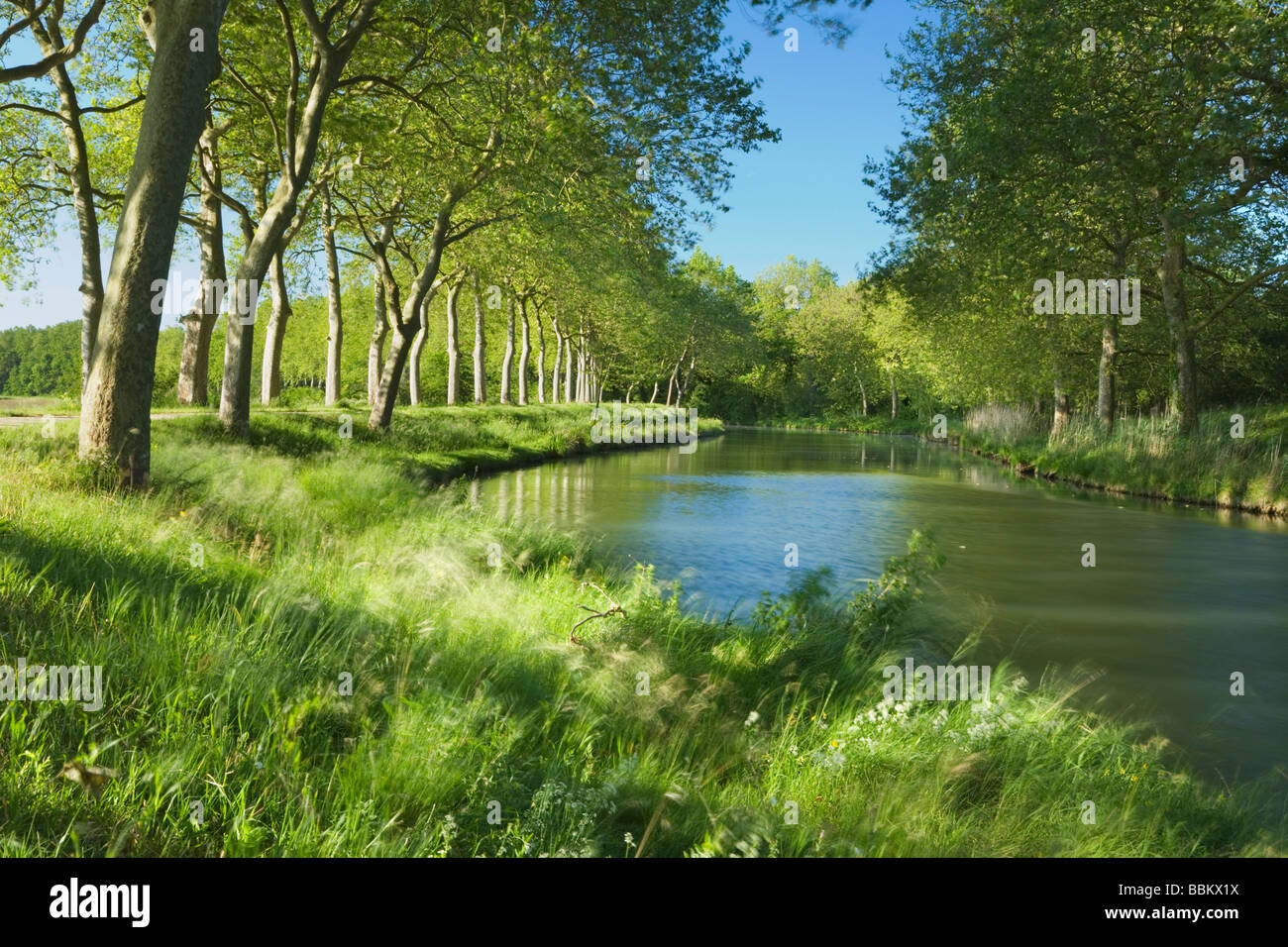 Canal du Midi. Languedoc Rousillon. France Banque D'Images