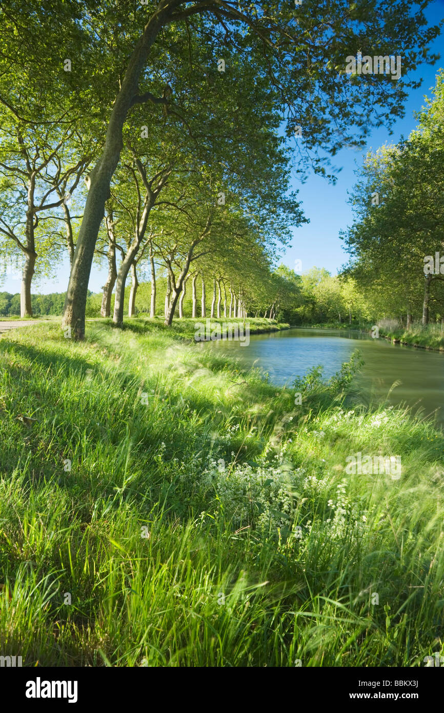 Canal du Midi. Languedoc Rousillon. France Banque D'Images