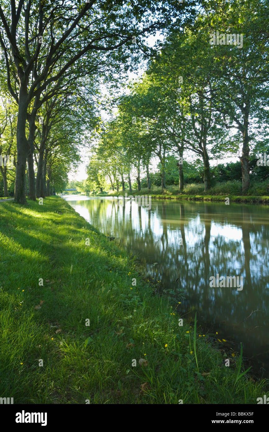 Canal du Midi à Carcassonne. Languedoc Rousillon. France Banque D'Images
