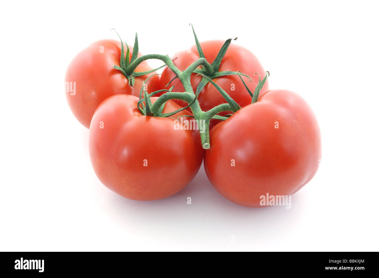 Les tomates sur la vigne Banque D'Images