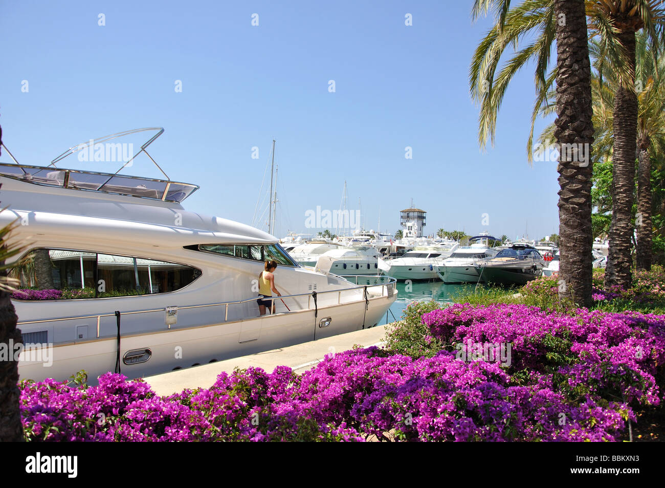 Vue sur Port de Plaisance, Puerto Portals, Portal Nous Bendinat / Palma, municipalité, Majorque, Îles Baléares, Espagne Banque D'Images