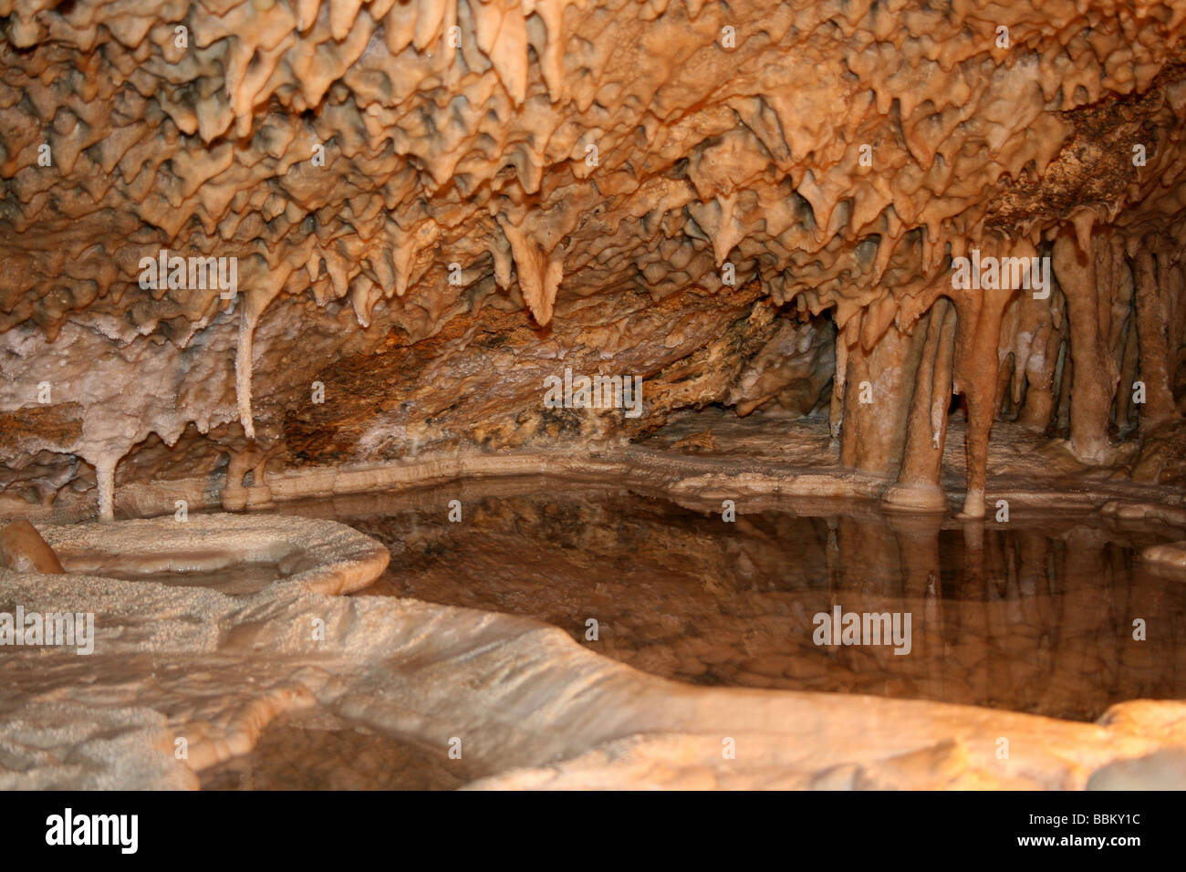 Karst calcaire stalactites dans une grotte, la grotte de Roland, près de Montcuq, Lot, France Banque D'Images
