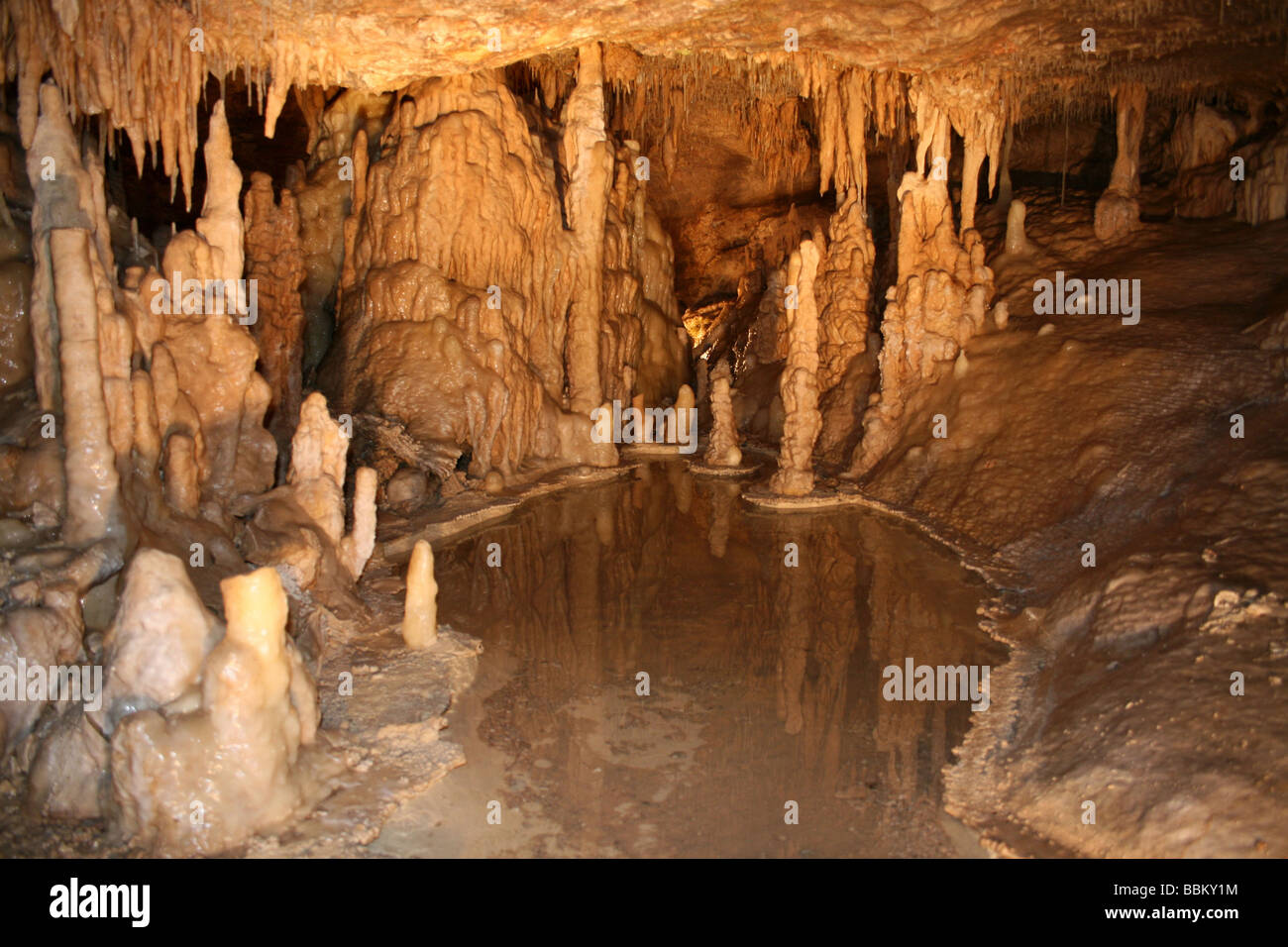 Karst calcaire stalactites dans une grotte, la grotte de Roland, près de Montcuq, Lot, France Banque D'Images