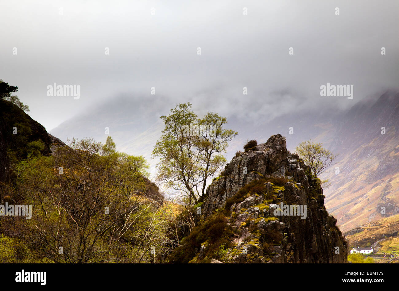 Pierres et arbres dans le mistGlencoe Ecosse Banque D'Images