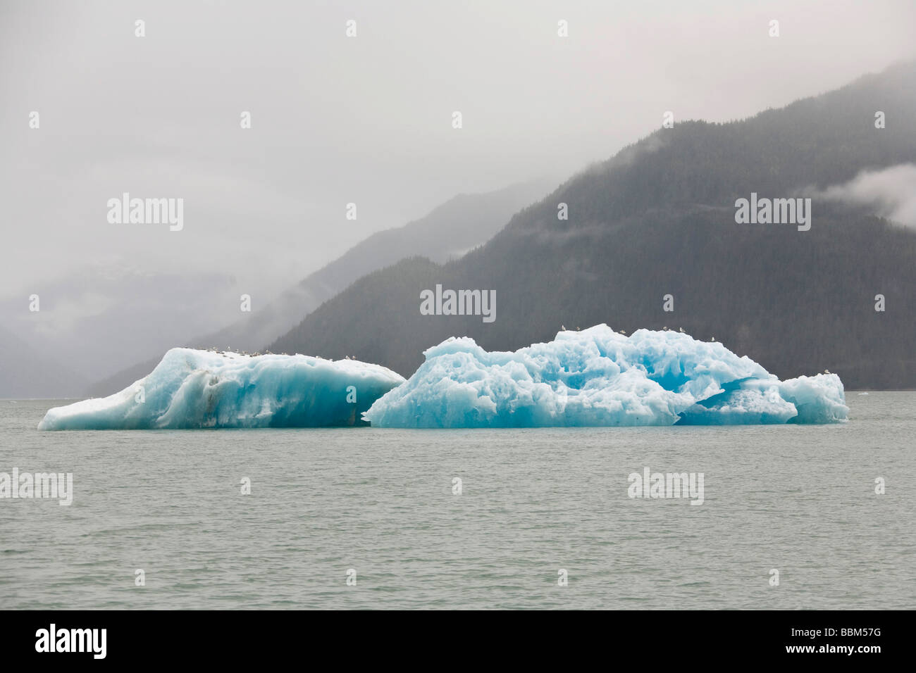 Iceberg en Endicott Arm, le passage de l'intérieur, le sud-est de l'Alaska, USA Banque D'Images Iceberg en Endicott Arm, le passage de l'intérieur, le sud-est de l'Alaska, USA Banque D'Images