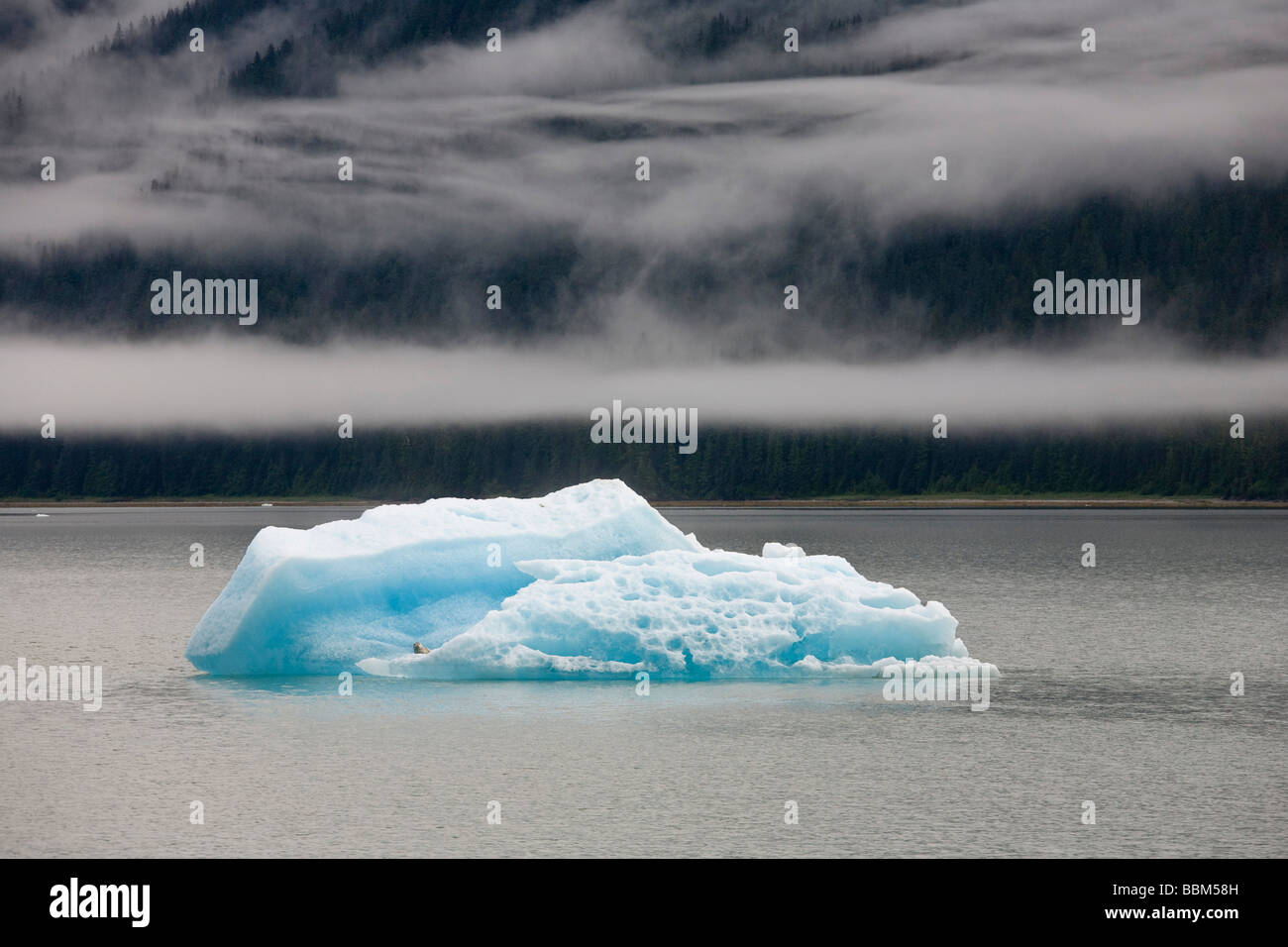 Iceberg en Endicott Arm, le passage de l'intérieur, le sud-est de l'Alaska, USA Banque D'Images Iceberg en Endicott Arm, le passage de l'intérieur, le sud-est de l'Alaska, USA Banque D'Images