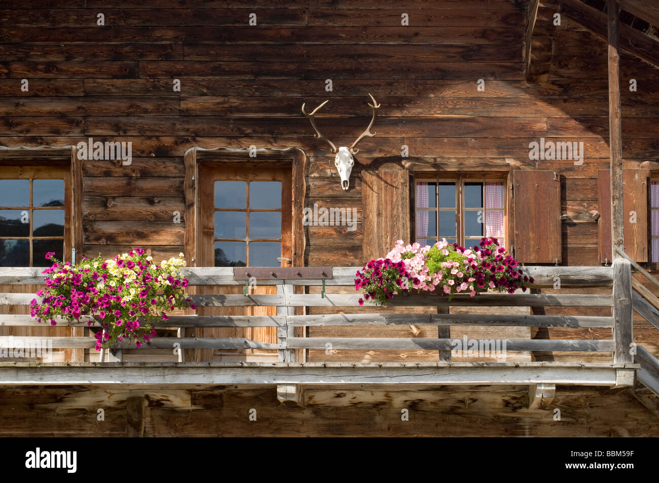 Détail, Walder-Alm Mountain lodge, district de Gnadenwald, Tyrol, Autriche, Europe Banque D'Images