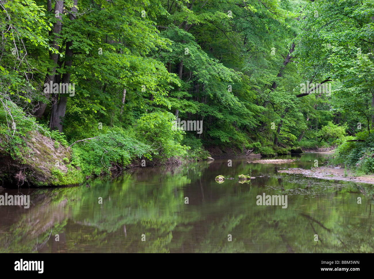 Richmond, Backbone Printemps State Park, Delaware Comté (Iowa) Banque D'Images