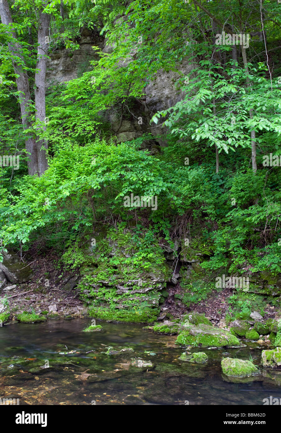 Richmond, Backbone Printemps State Park, Delaware Comté (Iowa) Banque D'Images