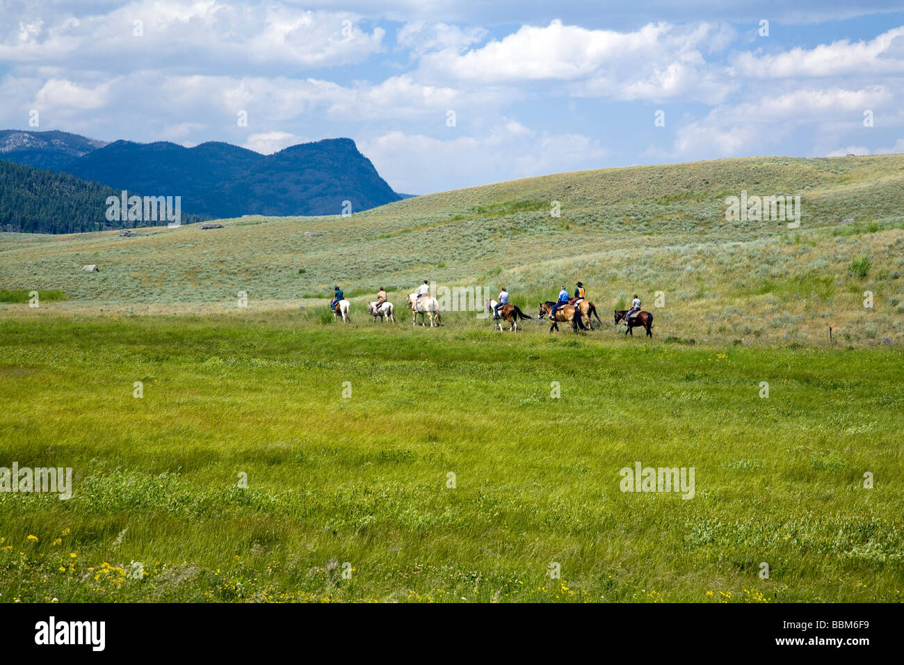Les gens sur un trailride dans le Parc National de Yellowstone. Banque D'Images