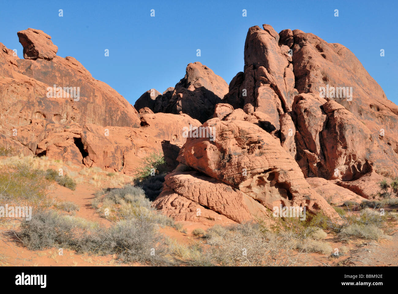 Des rochers de grès rouge, la Vallée de Feu State Park, Nevada, USA Banque D'Images