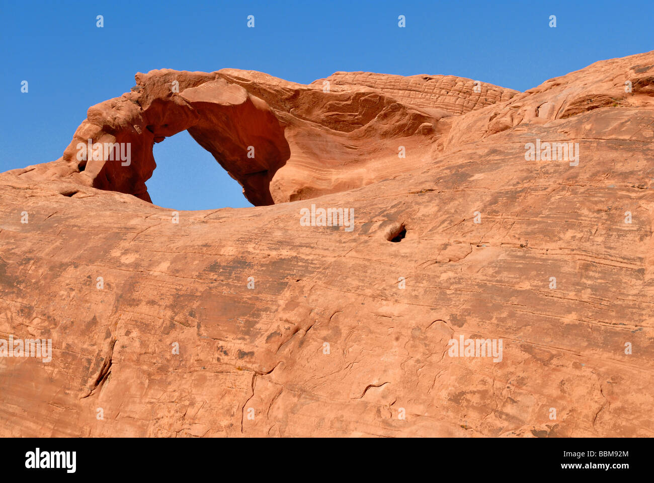 Arch Rock, Vallée de Feu Park, Nevada, USA Banque D'Images