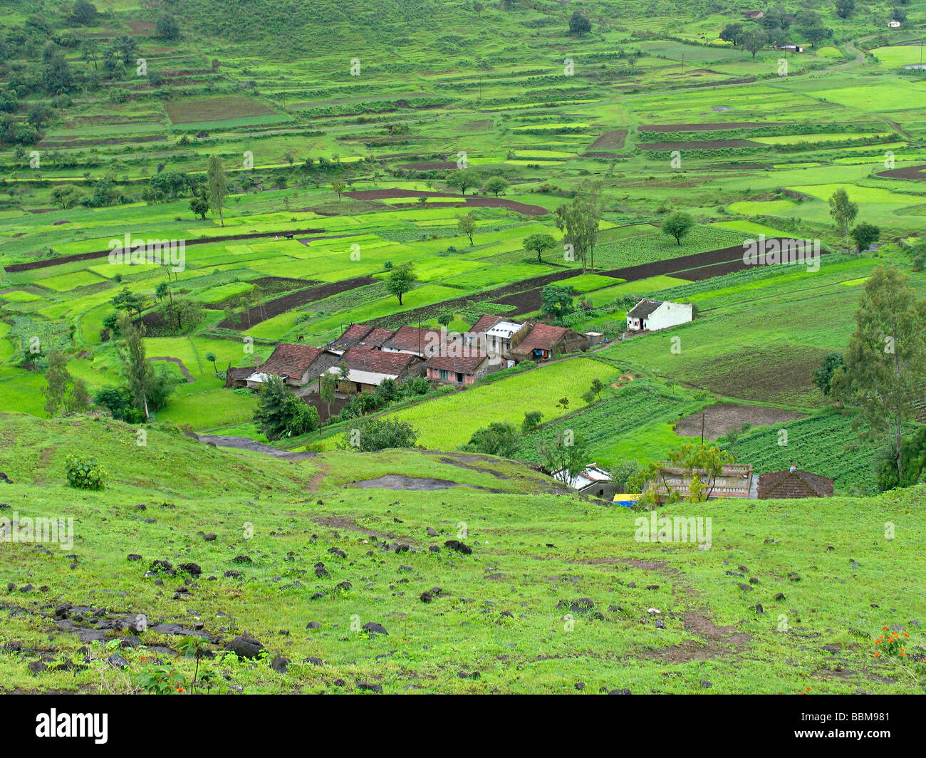 Paysage, maisons de la ferme. village. Banque D'Images