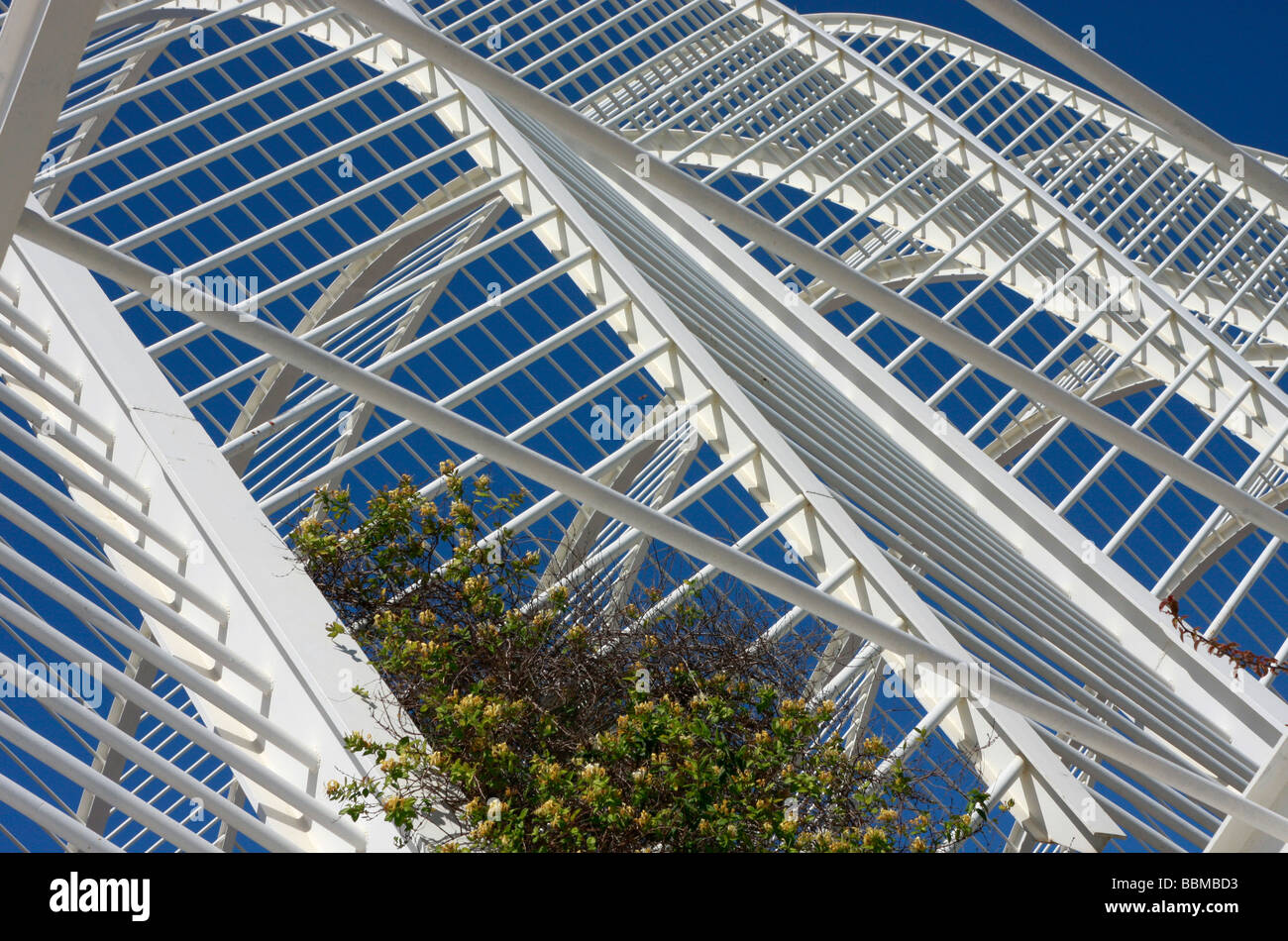 Conçue par Santiago Calatrava Valence, Cité des Arts et des Sciences est une magnifique collection d'architecture moderne Banque D'Images