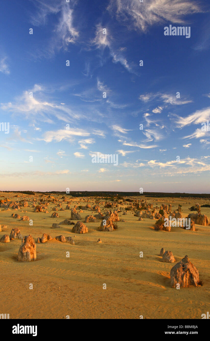 Pinnacles Desert au lever du soleil. Le Parc National de Nambung, Australie occidentale Banque D'Images