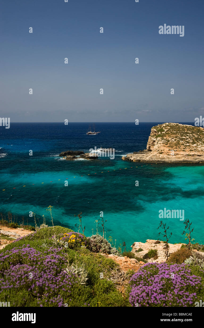 Blue Lagoon de Comino, Malte, Europe Banque D'Images