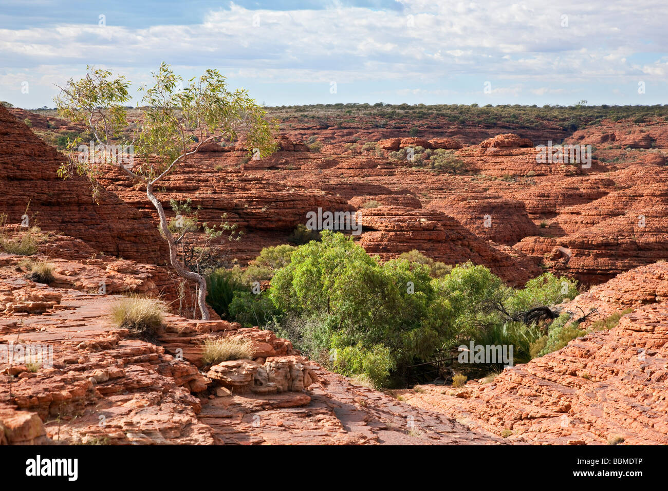 L'Australie, Territoire du Nord. Des formations de roche rouge à Kings Canyon. Banque D'Images