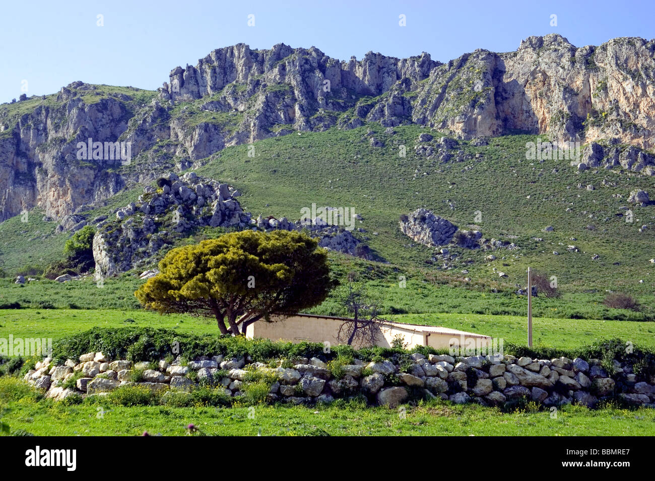 Paysage de montagne fleurs jaune vert champs de fermes agriculture Agrigento Province Sicile Italie Banque D'Images