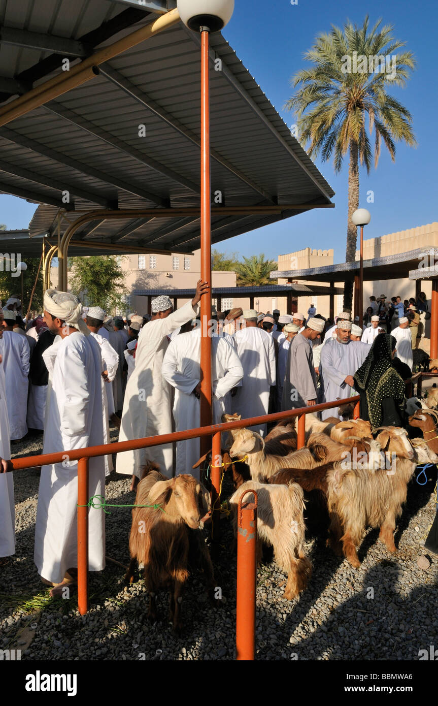 L'homme en costume traditionnel omanais, le bétail ou les animaux marché à Nizwa, Hajar al Gharbi, Montagnes, région Dakhliyah Al Sultanat Banque D'Images