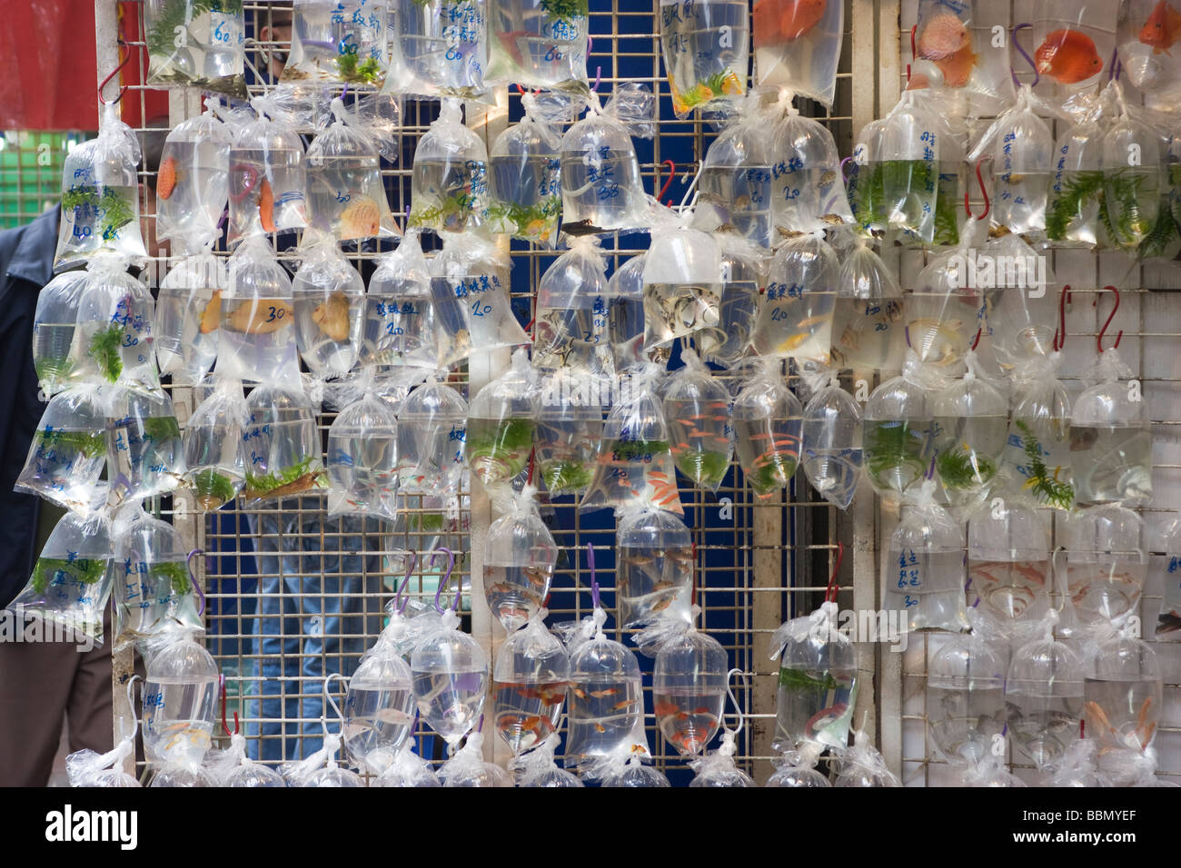 Fish hanging en dehors d'un magasin au marché de poissons rouges à Hong Kong Banque D'Images