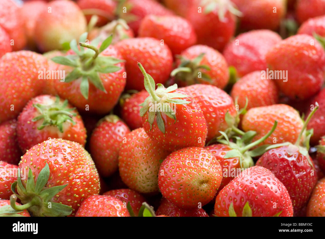 Matières premières alimentaires et de fraises fraîches close up Banque D'Images