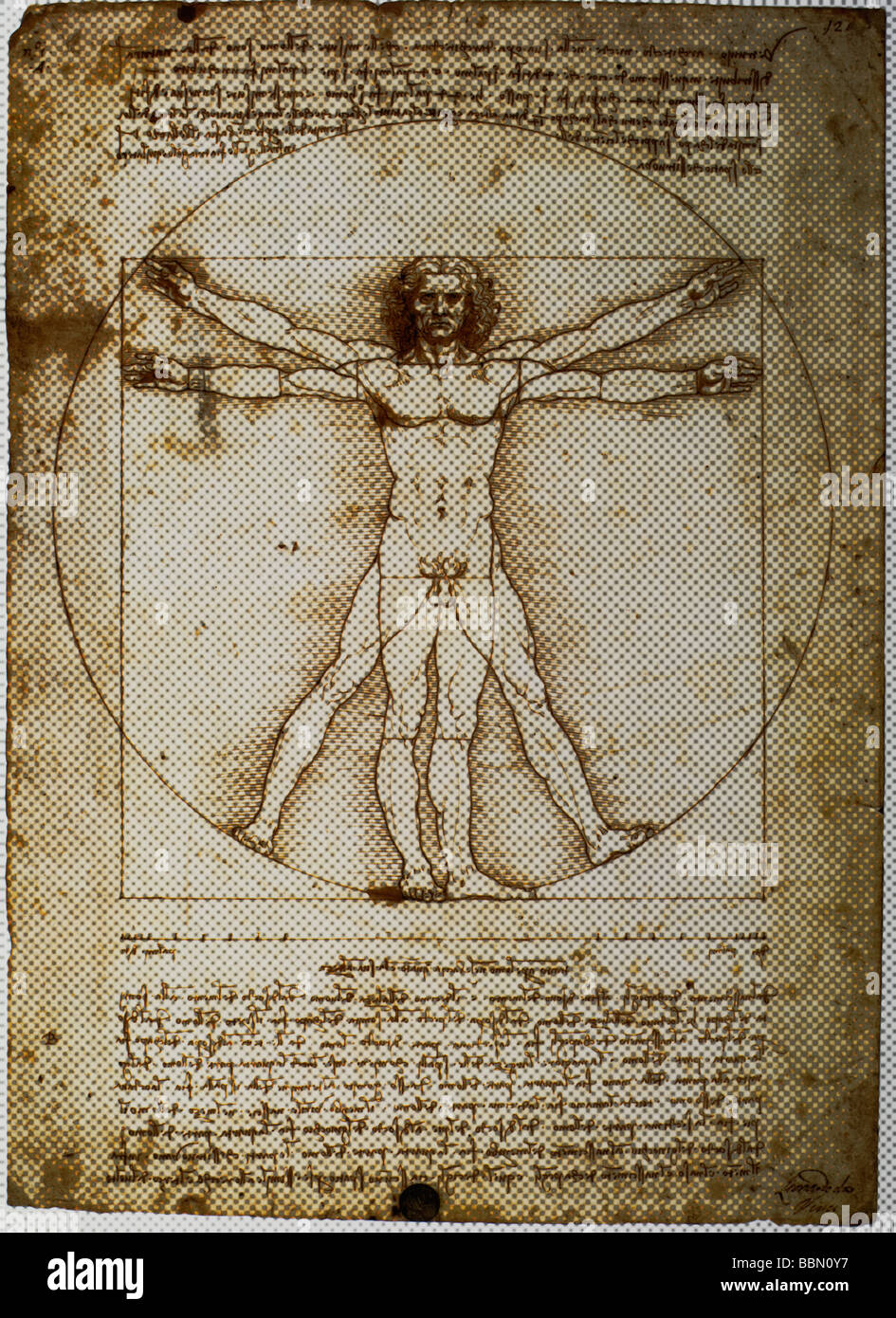 Homme de Vitruve par Leonardo da Vinci indiqué dans modèle de demi-teinte Banque D'Images