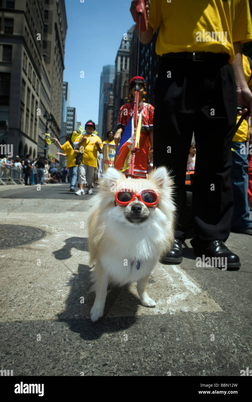 Filipino américains de la région des trois états en mars aux Philippines l'indépendance Day Parade sur Madison Avenue à New York Banque D'Images