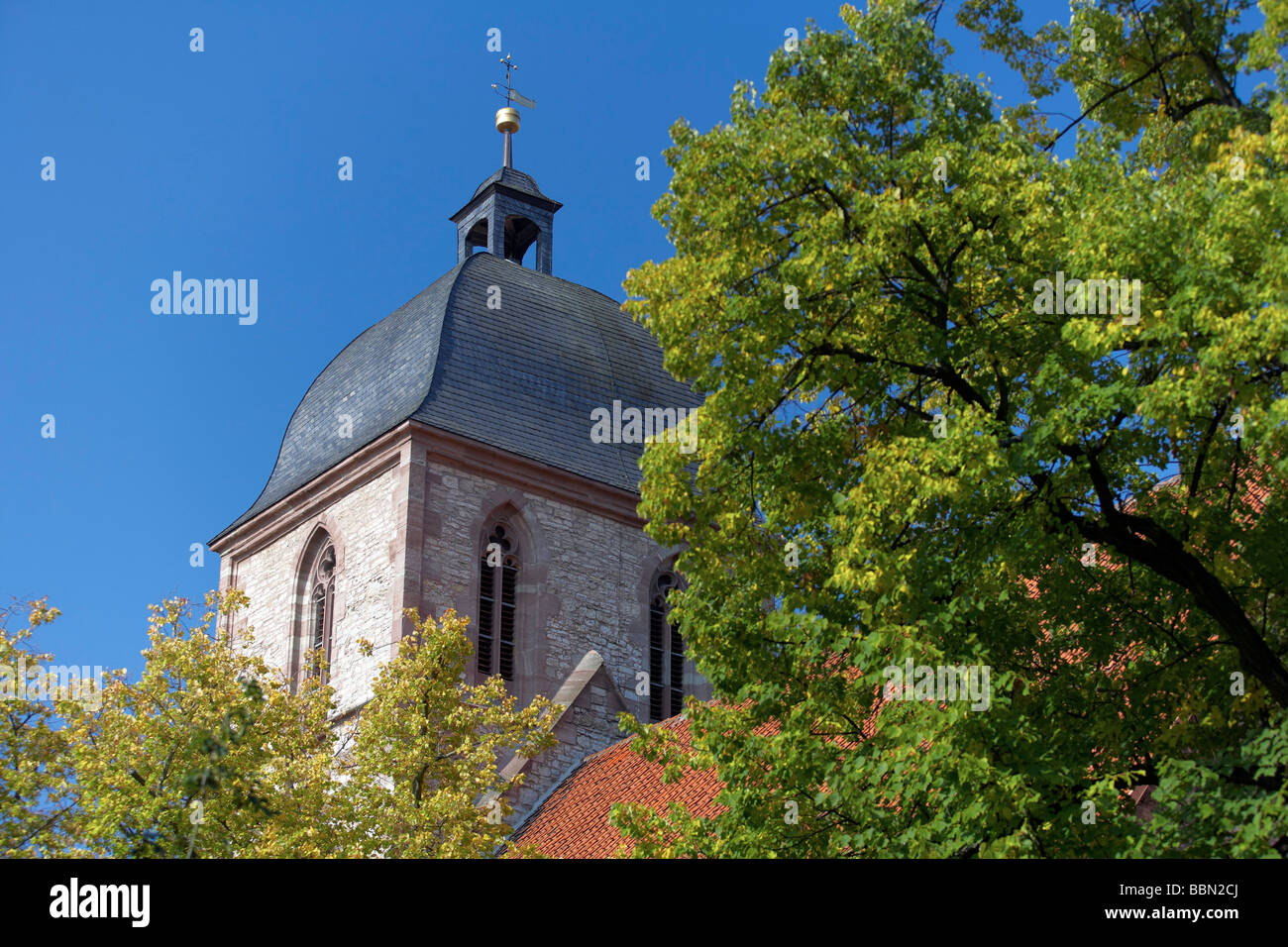 L'église Sankt Albani, Göttingen, Basse-Saxe, Allemagne, Europe Banque D'Images