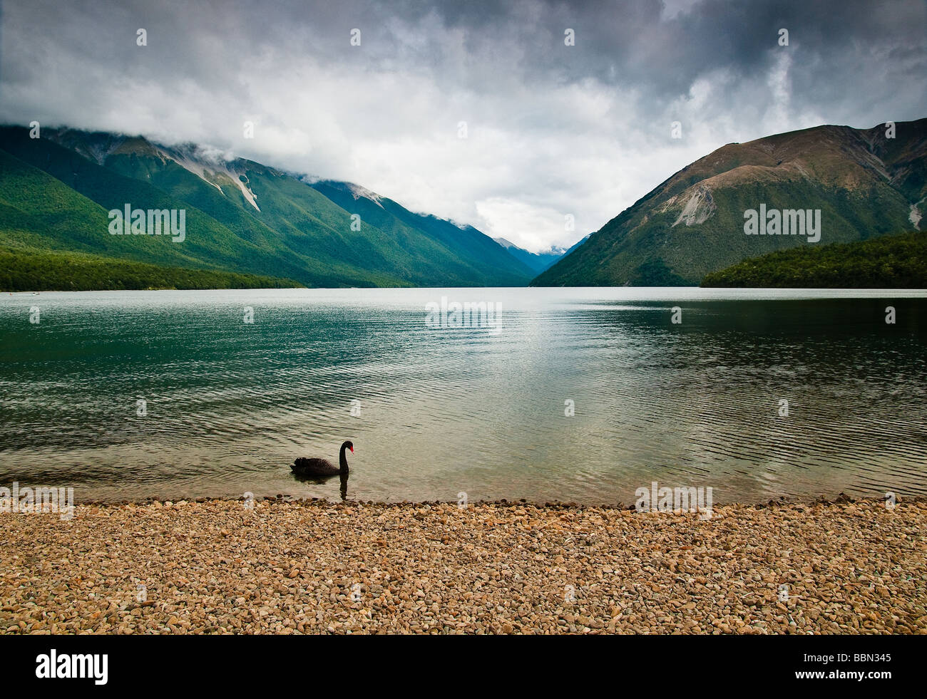 Lac Rotoiti Nelson Lakes National Park ile sud Nouvelle Zelande Banque D'Images