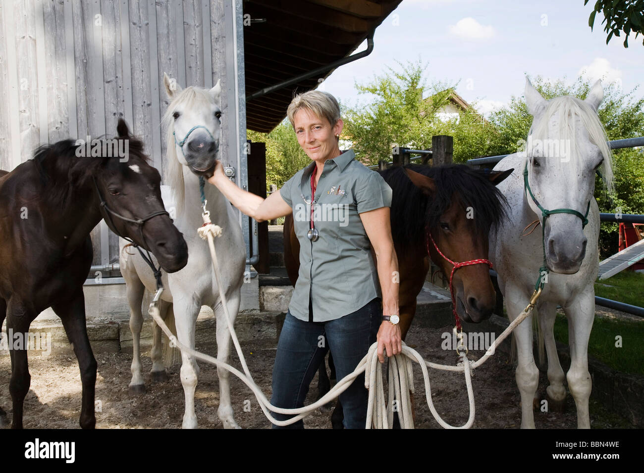 Vétérinaire spécialisé dans les animaux de grande taille avec ses quatre chevaux, Steinmaur, Zurich, Switzerland, Europe Banque D'Images