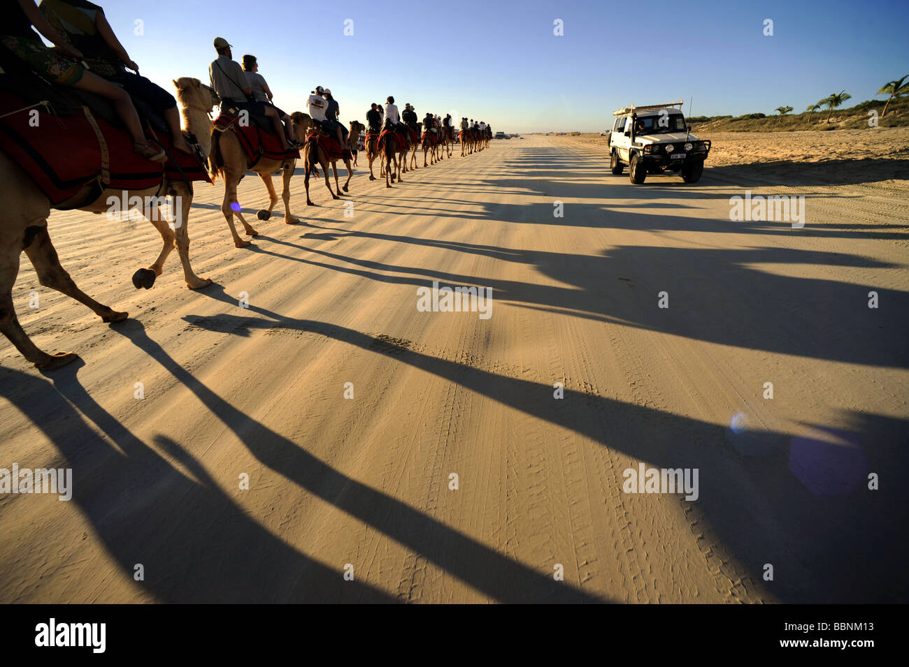 Les touristes profiter d'un coucher de soleil en chameau le long de la plage Cable Beach à Broome, Australie occidentale. Banque D'Images