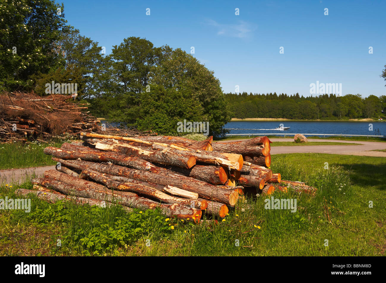Pile de bois et à l'arrière-plan d'un bateau très rapide, Schweden Norrtälje Grop Banque D'Images